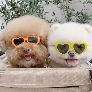 PINK Pet Dog and Cat Funny Heart Shaped Glasses SUNGLASSES Z.75